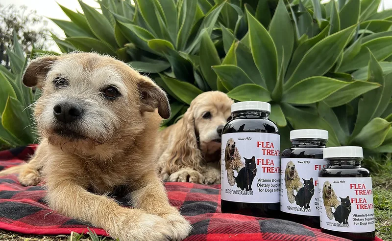 Flea Treats  500 tablet bottle