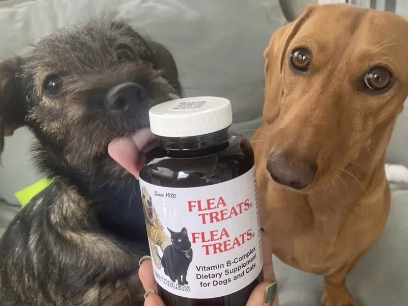 Flea Treats  250 tablet bottle